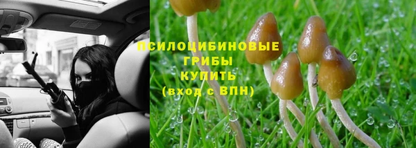 PSILOCYBIN Армянск