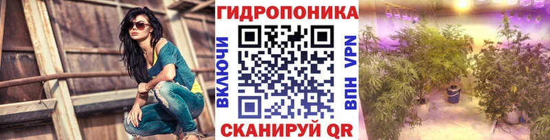 Бошки Шишки конопля  Камышлов 
